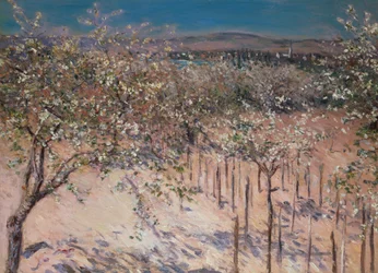 Verger avec pommiers en fleurs, Colombes
